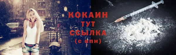 гидропоника Гусь-Хрустальный
