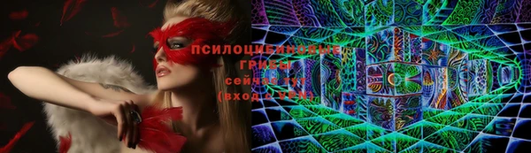 метадон Гусев