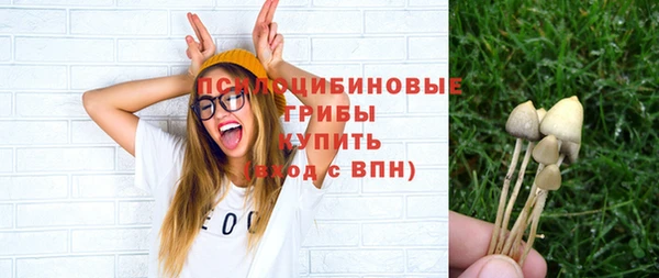 метадон Гусев