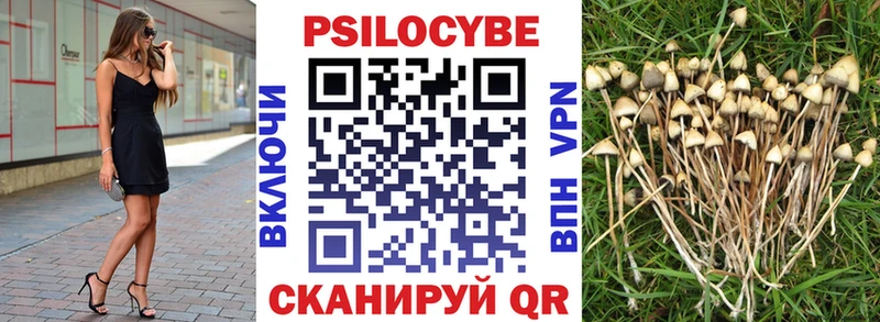 Купить где  Бавлы  Псилоцибиновые грибы прущие грибы 